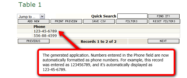 The phone number format automatically applied to data in a field
