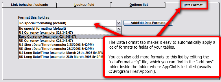Field data formats in AppGini