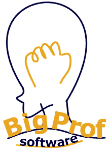 BigProf Software logo